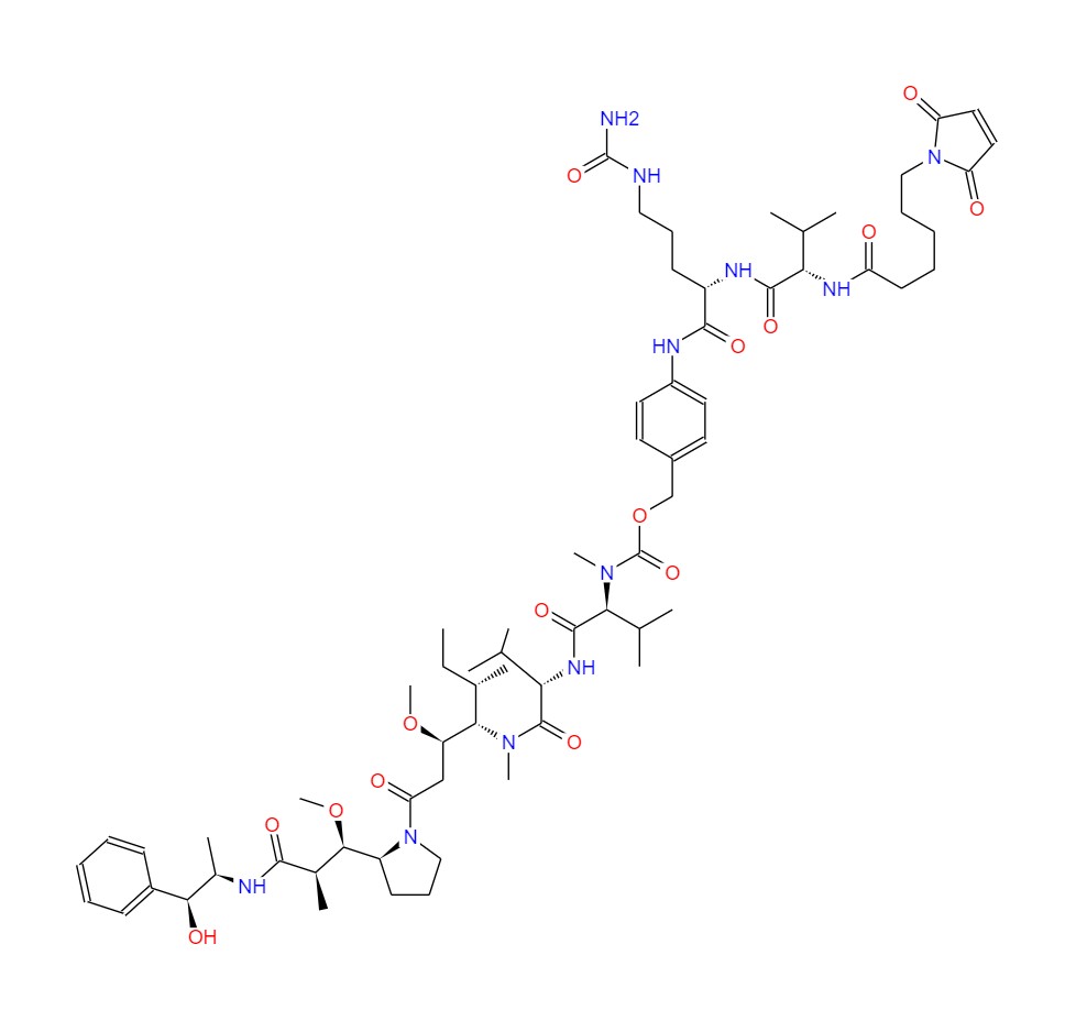 VcMMAE 625 (2)