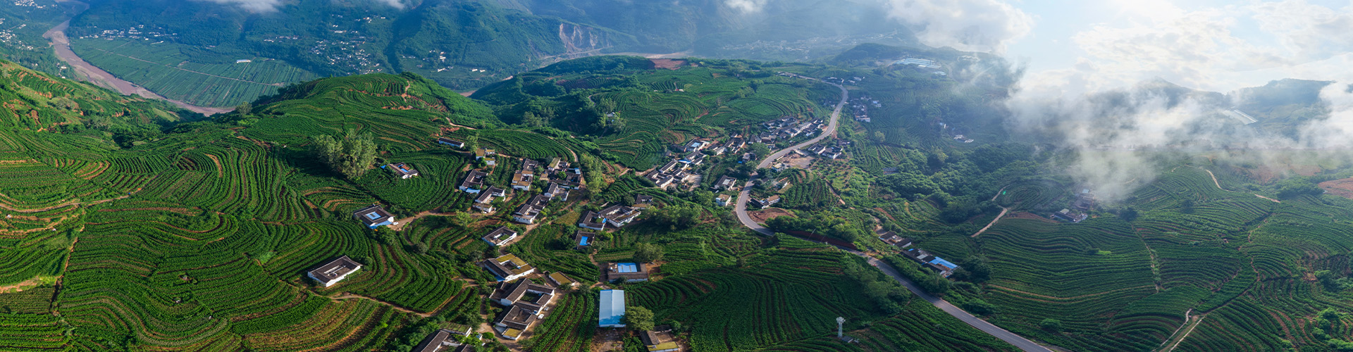 Пример поставки шелкового наполнителя для компании Мэнцзе Хоум Текстиль
