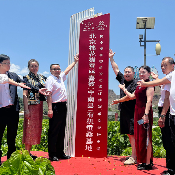 Делегация Beijing Cotton Cat Home Products посетила компанию Yinhong·Yixing Silk Группы Ниннань Наньсылу