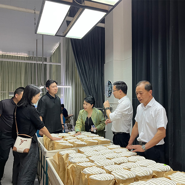 Делегация Huzhou Linghu Dongfang Silk Technology и Wanshili Group посетила компанию Yinhong·Yixing Silk Группы Ниннань Наньсылу