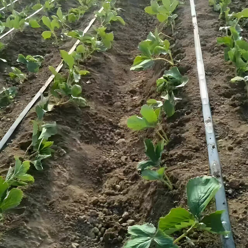 Капельная лента с внутренними встроенными капельницами