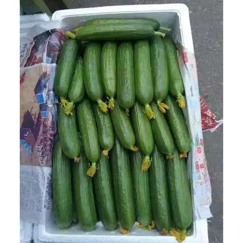 Контейнер для хранения свежих продуктов