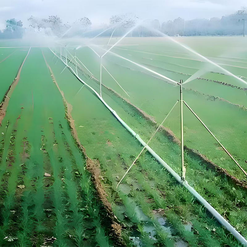 Микродождевание