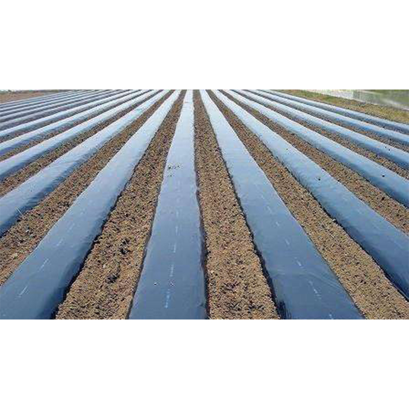 Мульчирующая пленка