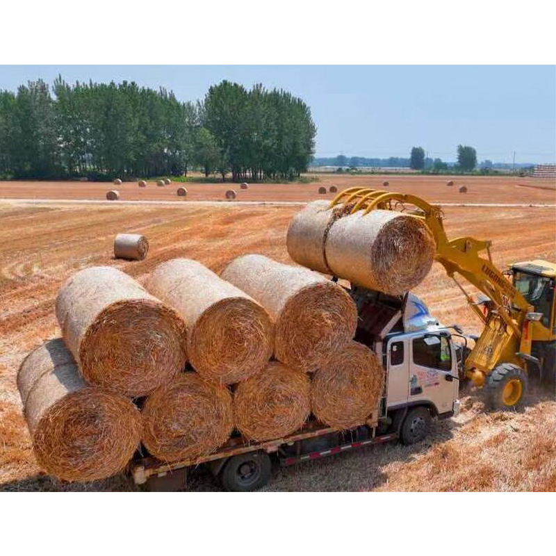 Сетка для прессования соломы