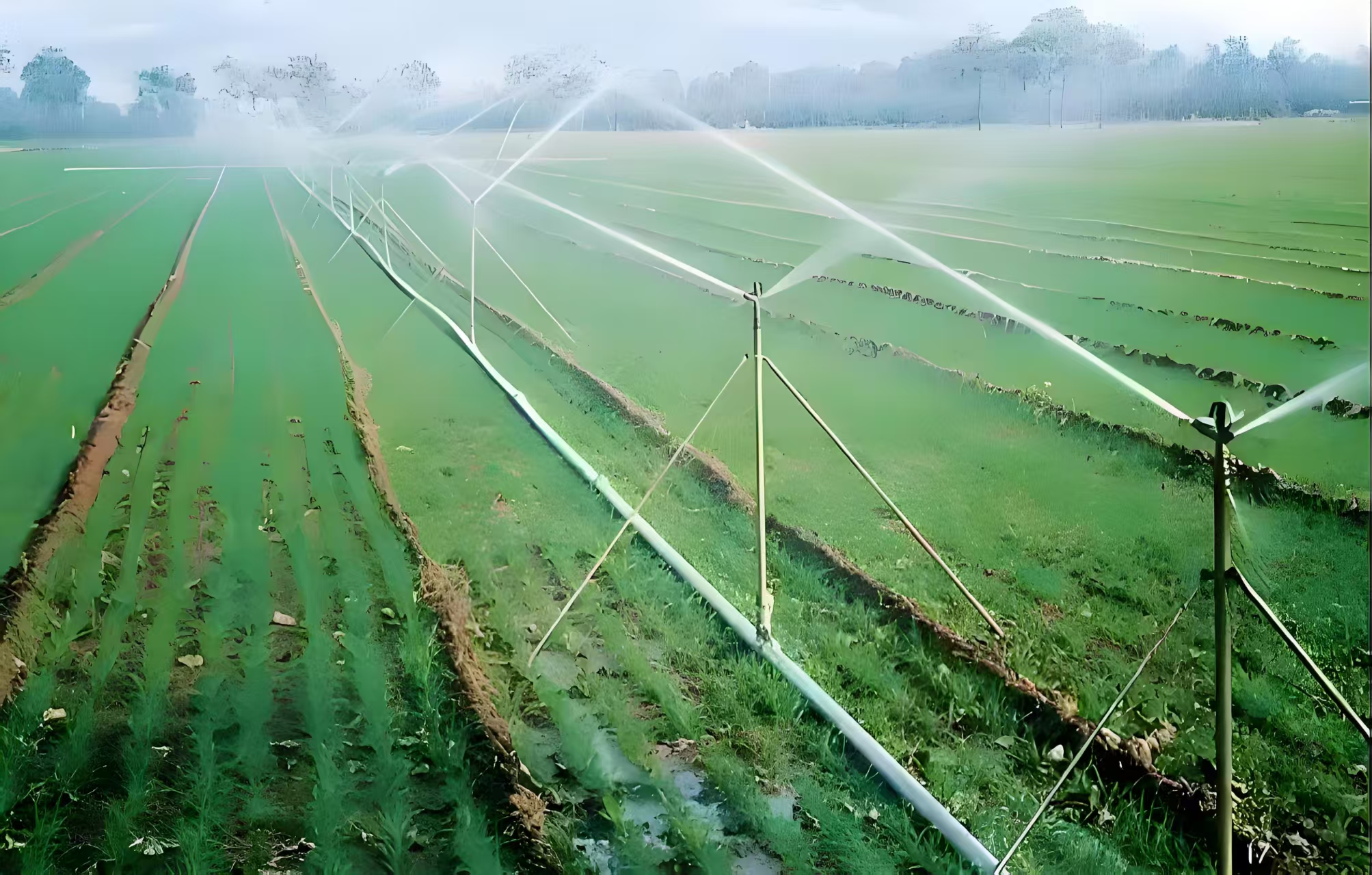 Как Круговые дождевальные машины на 700 му влияют на экологию?