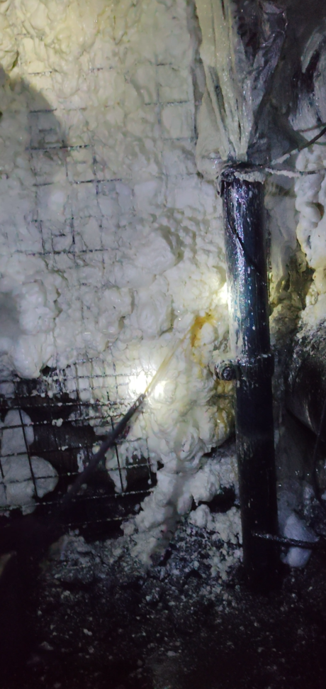 xinwen-1 (1)