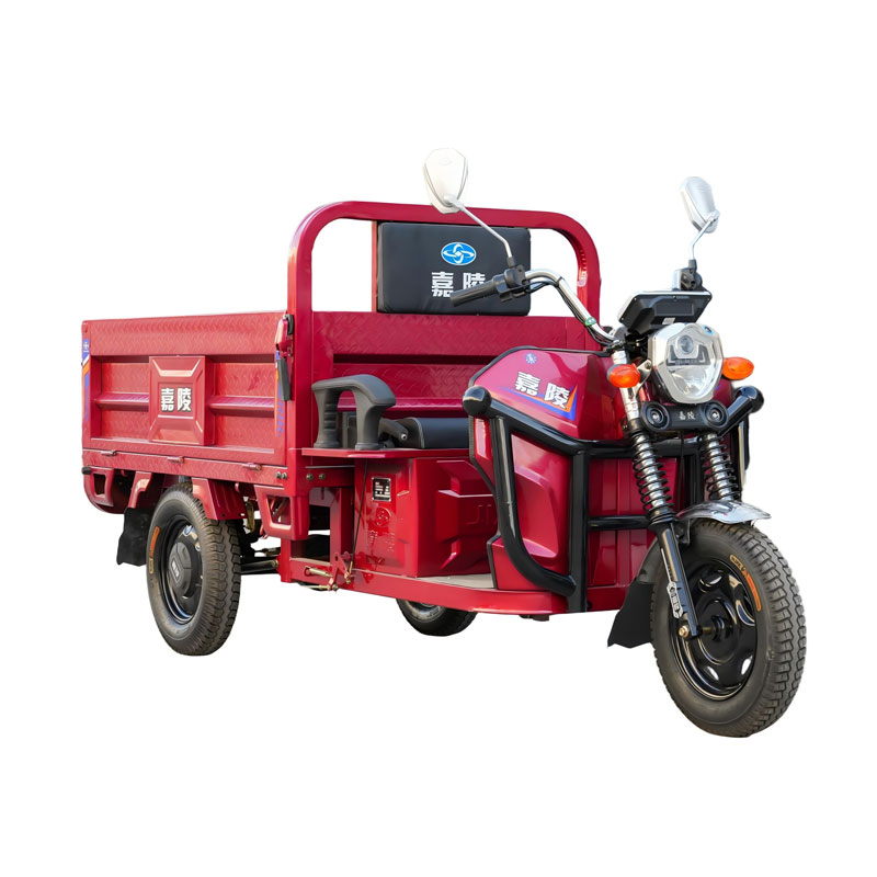 Грузовой электрический трицикл Гепард 1.5