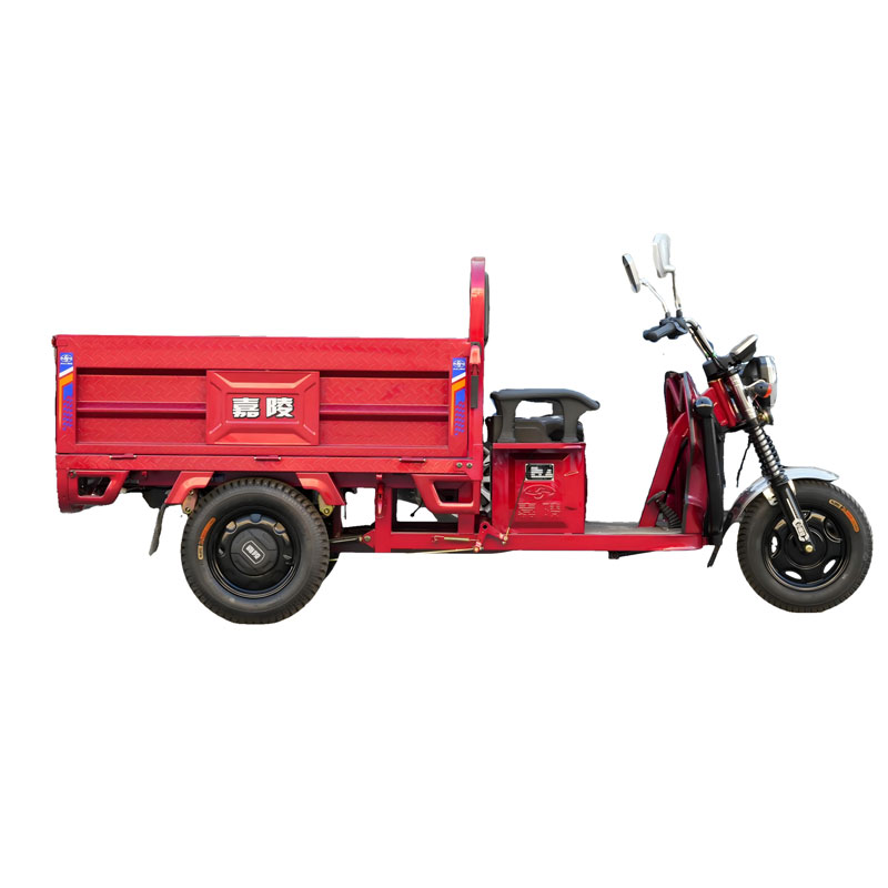 Грузовой электрический трицикл Гепард 1.5