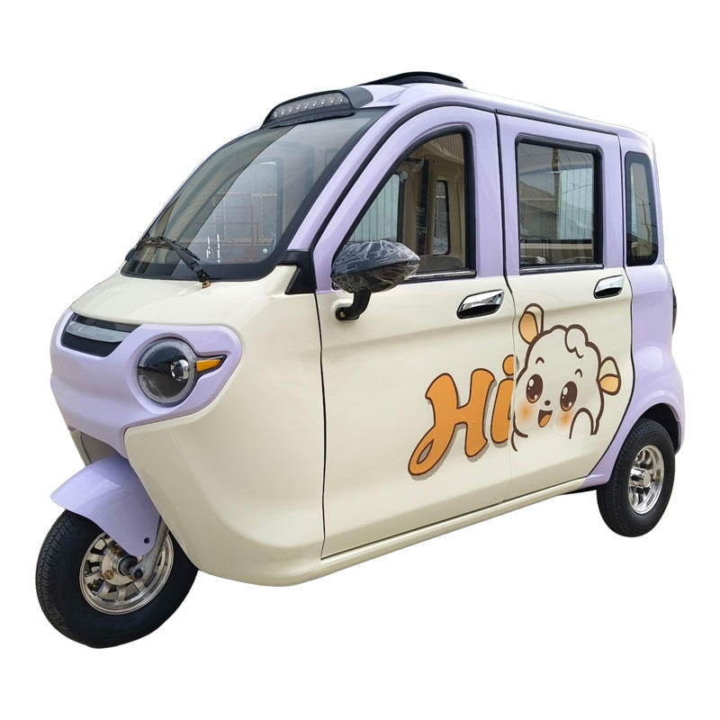 Полностью закрытый трицикл Моли V1