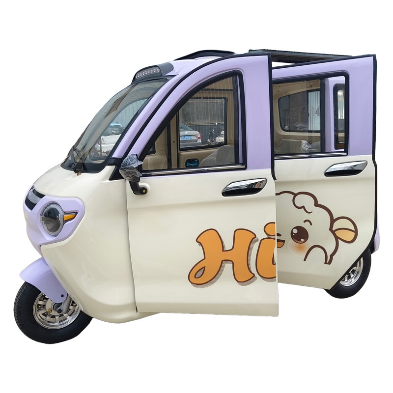 Полностью закрытый трицикл Моли V1