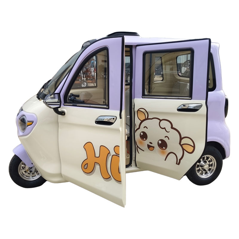 Полностью закрытый трицикл Моли V1