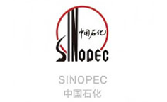logo (19)