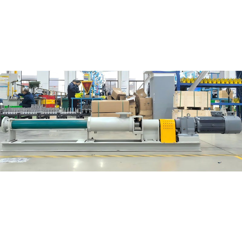 Horizontal pump with support type WS