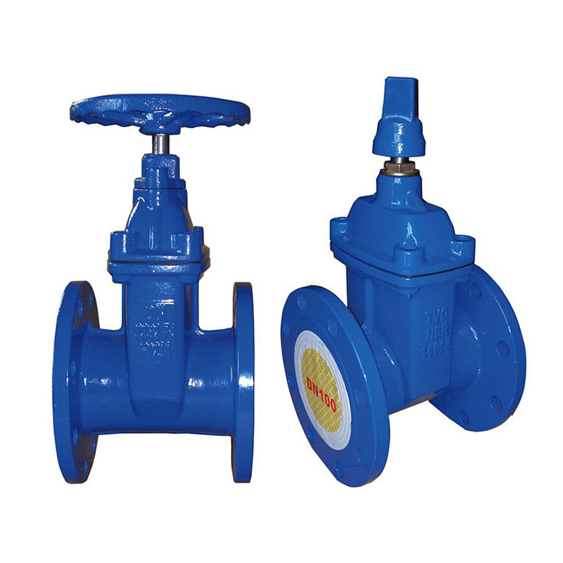 Gate valve