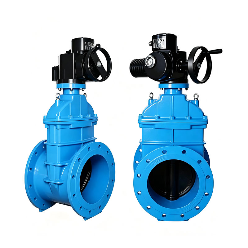 Gate valve (5)