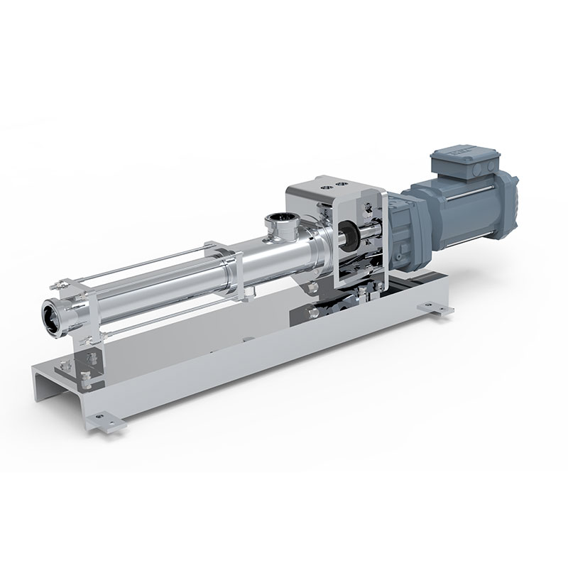 Food industry pump type WBS