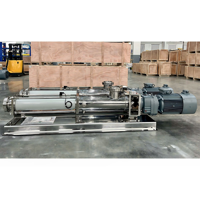 Food industry pump type WBS