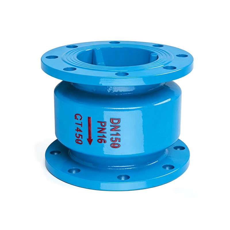 Industrial check valve