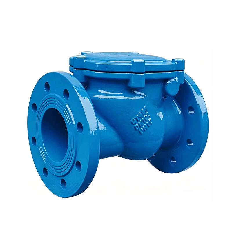 Industrial check valve