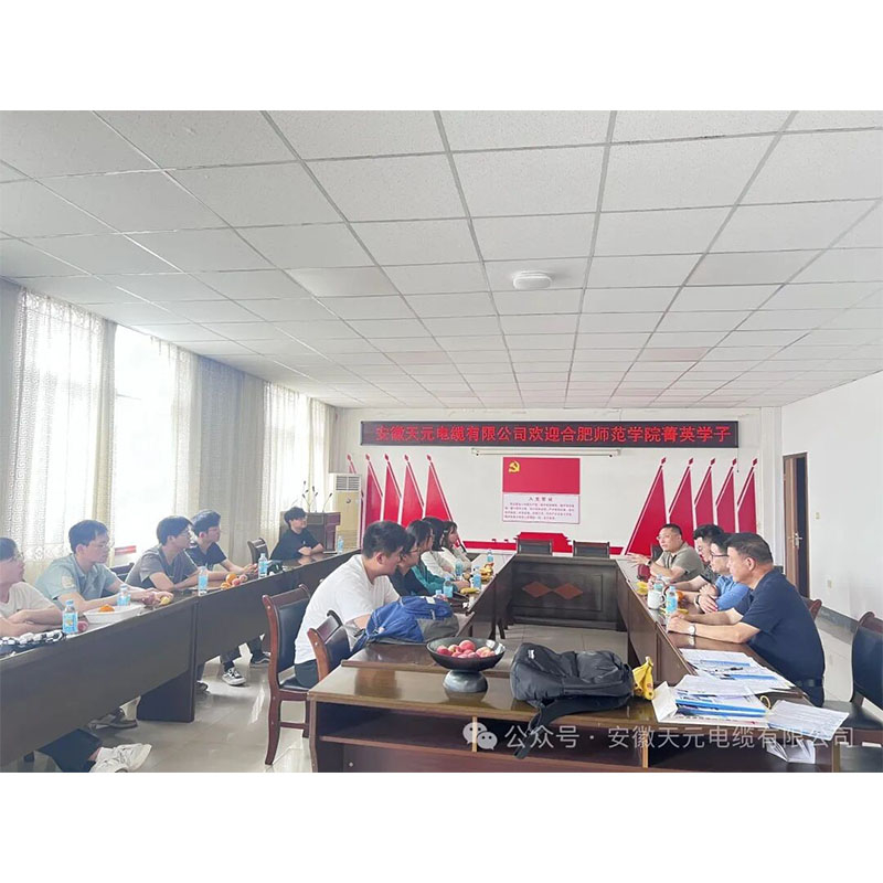 Визит Хэфэйского педагогического университета в компанию Anhui Tianyuan Cable: выездная инспекция способствует обеспечению качественного трудоустройства выпускников.