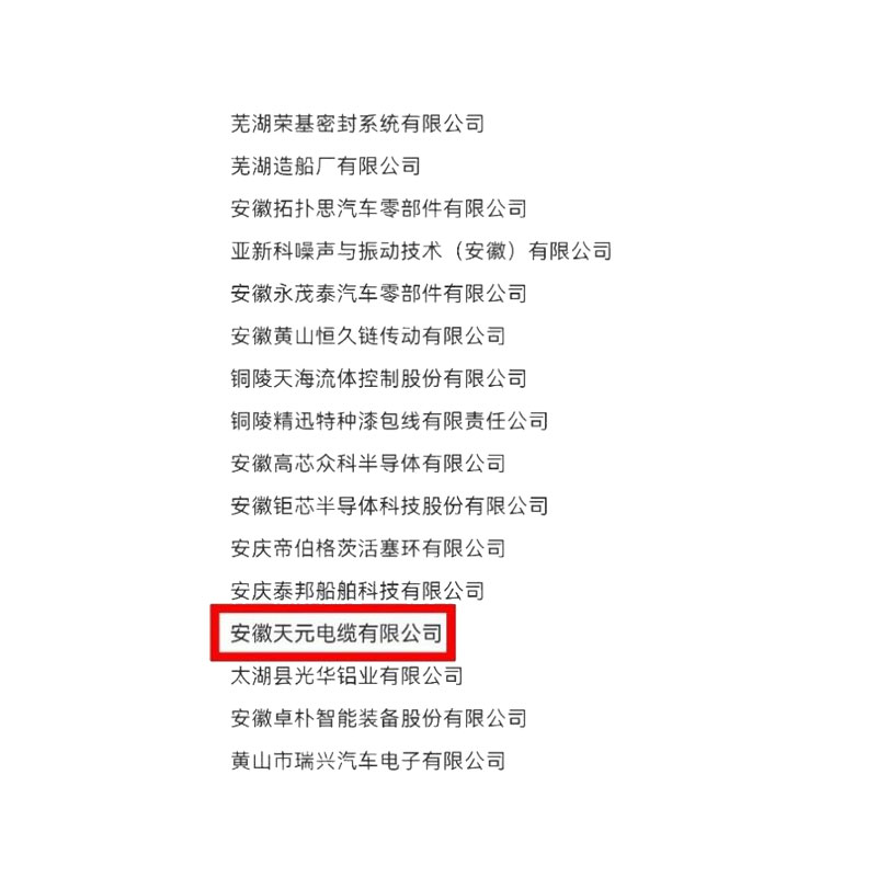 Компания «Аньхой Тяньюань Кабель» вошла в список предприятий провинции Аньхой, выбранных для подготовки к званию «чемпиона в отдельной отрасли» в сфере производства в 2025 году