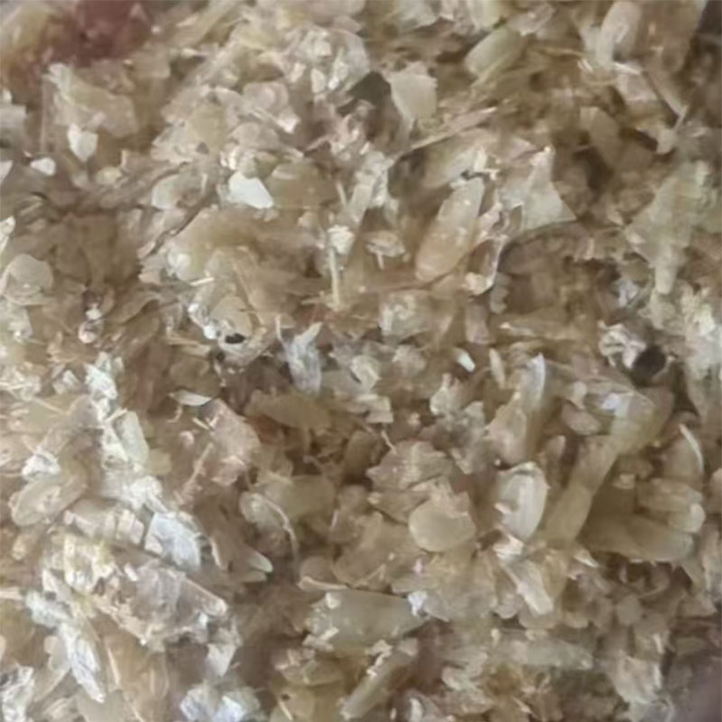 Зародыши кукурузы