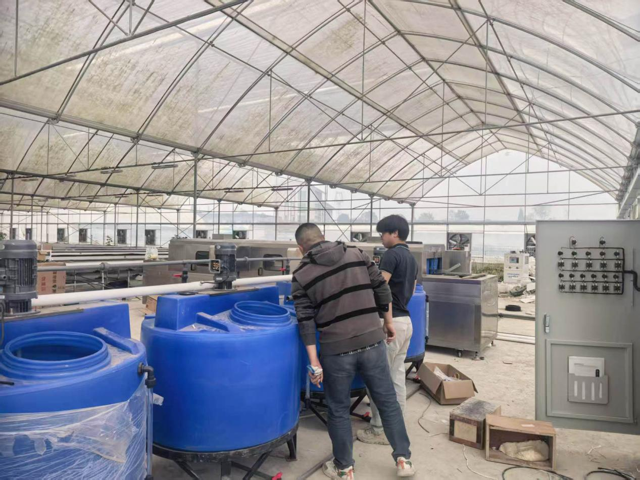 4800м² теплица для выращивания салата методом гидропоникиуспешно сдана в эксплуатацию