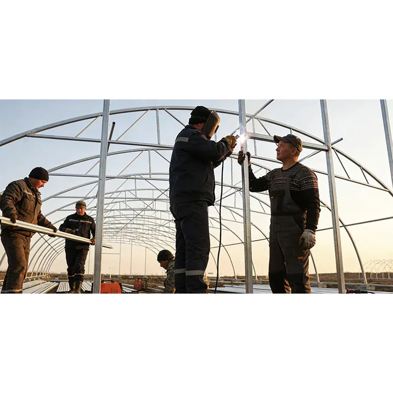 Шелковый путь соединяет российское сельское хозяйство, технологии побеждают холод | Наши решения для холодостойких теплиц углубляют корни на рынке Дальнего Востока России