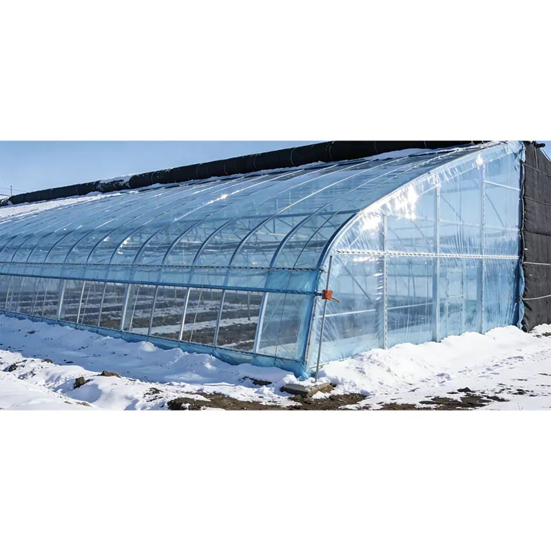 Ведущее китайское предприятие по орошению теплиц расширяет свою деятельность в Центральной Азии, способствуя трансграничному сельскохозяйственному сотрудничеству между Китаем и Казахстаном