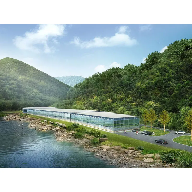 Больше никаких проблем при строительстве теплиц за рубежом! Jucang Agriculture обеспечивает стабильную прибыль зарубежным фермерским хозяйствам благодаря интеллектуальным решениям.