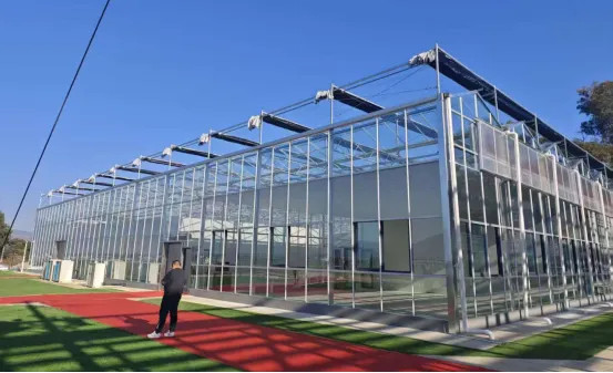 Создание интеллектуальных теплиц с высокой точностью! Успешное завершение высококачественного проекта Eryuan, способствующего модернизации индустрии производства съедобных грибов