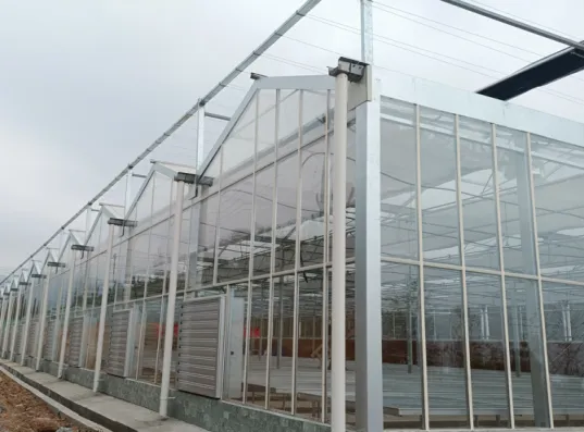 Умная стеклянная теплица Hanyuan JiuxiangПрошла приемочную инспекцию  Ускорение интеллектуальной трансформации специализированного сельского хозяйства