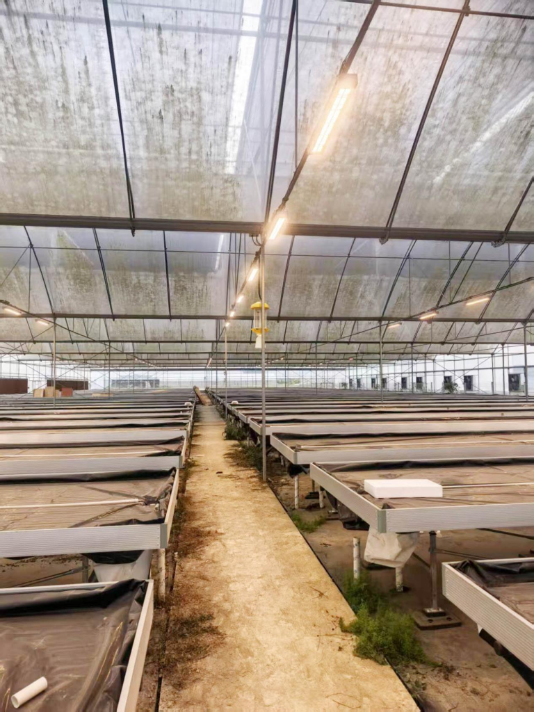 4e66e40191446e7f5cb1325f1508f9df