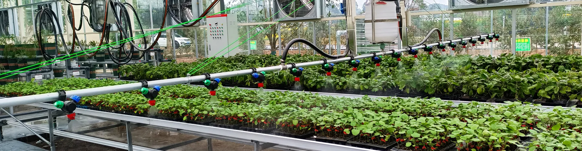 ООО Сычуань Сиван Нонгъе Кэцзи Боланьюань — «Хуа У Жэнь Цзянь»