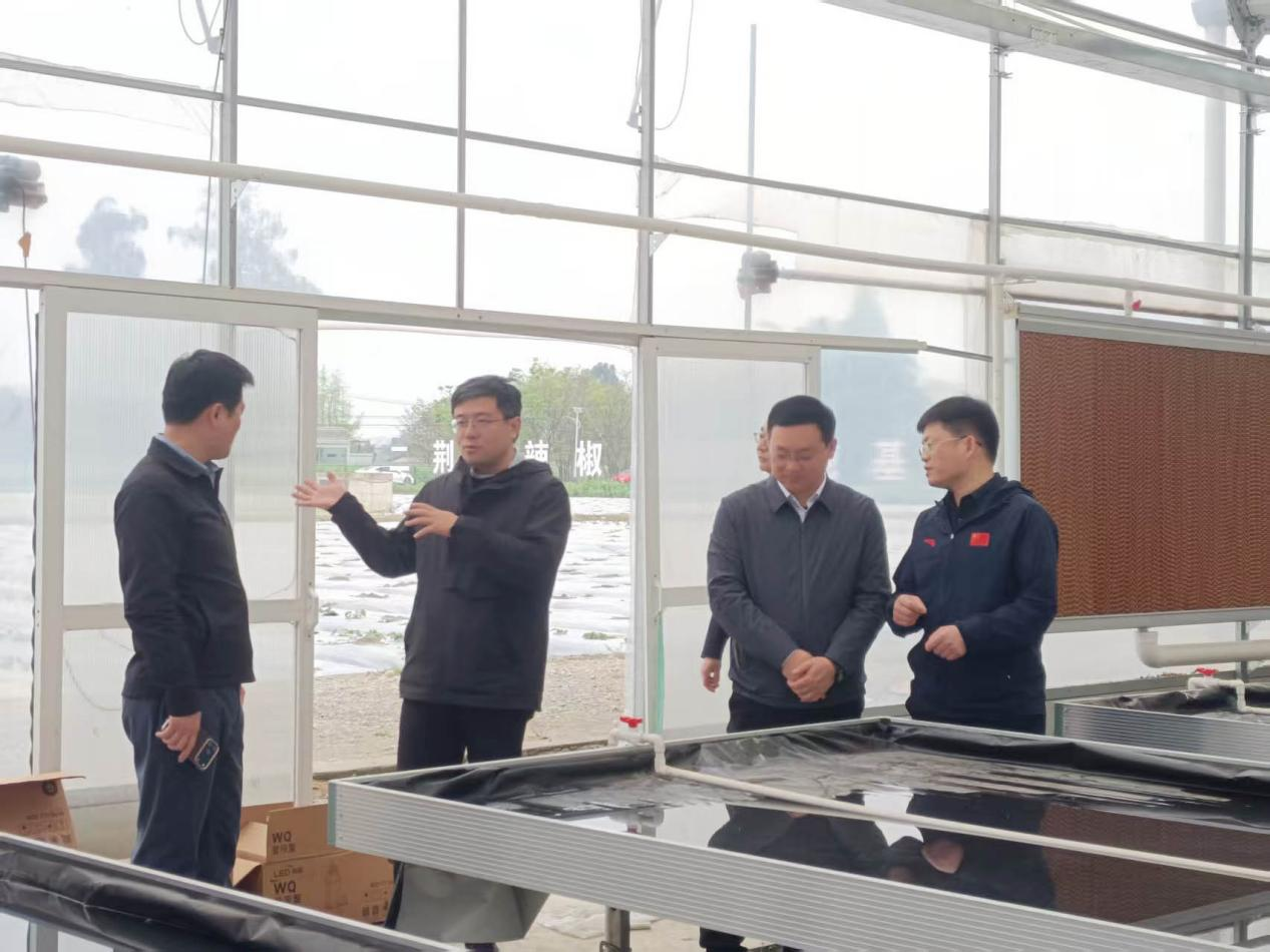 9ed8780297eb15072769cafb058de9b8