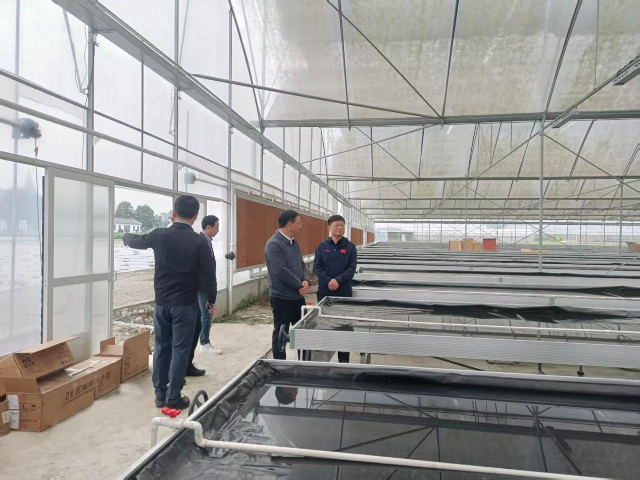 d6dc67d433d14de0b3918f5ea66aa347