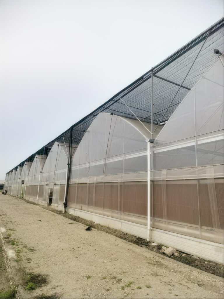 e51dd2ffe735704f764d2bff8a5b3328