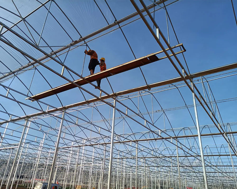 Строительство интеллектуальных теплиц