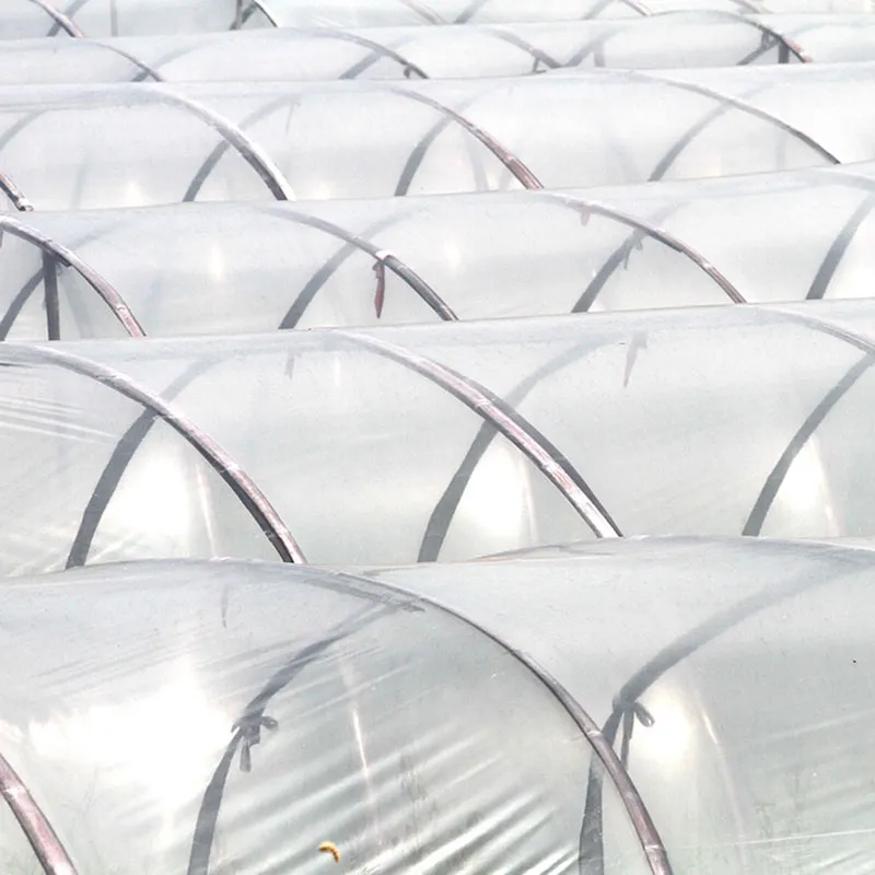 Краткое описание пластиковых теплиц