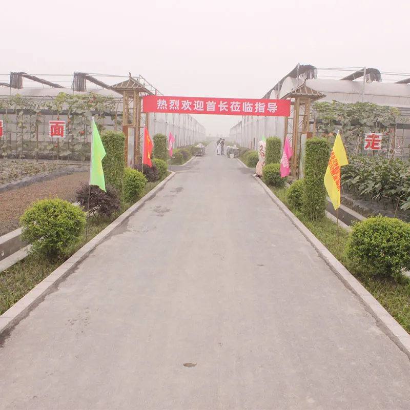 Блочная пленочная теплица