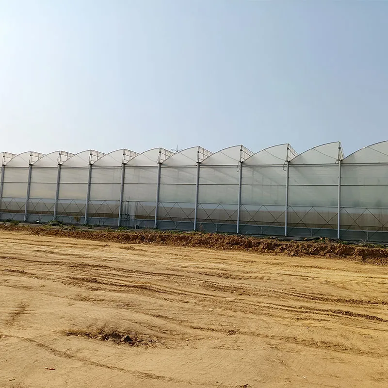 Блочная пленочная теплица