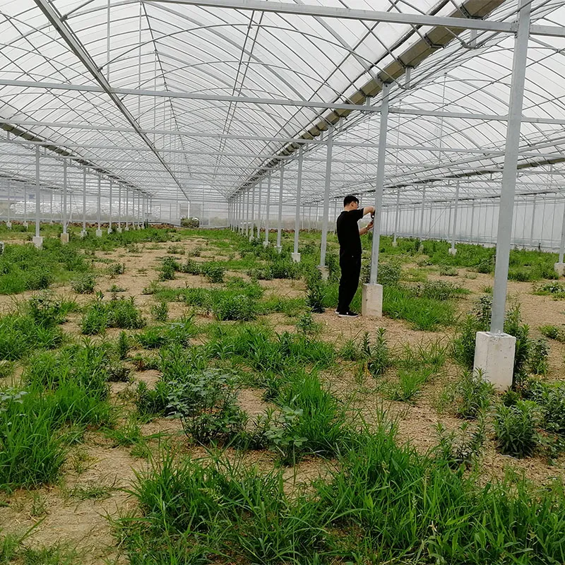 Блочная пленочная теплица