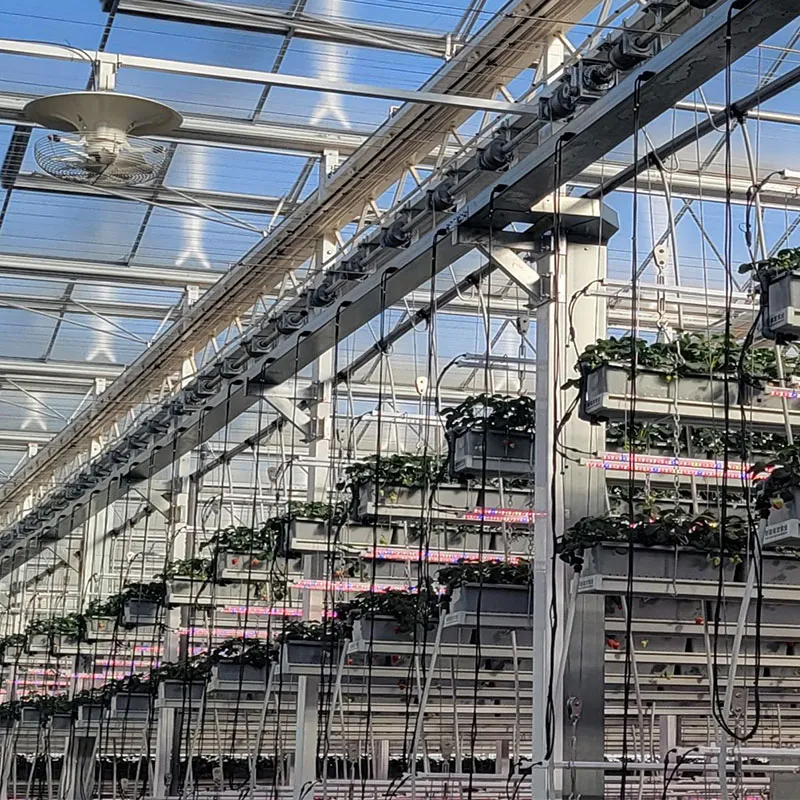 «Воздушная» клубника (вертикальное выращивание)