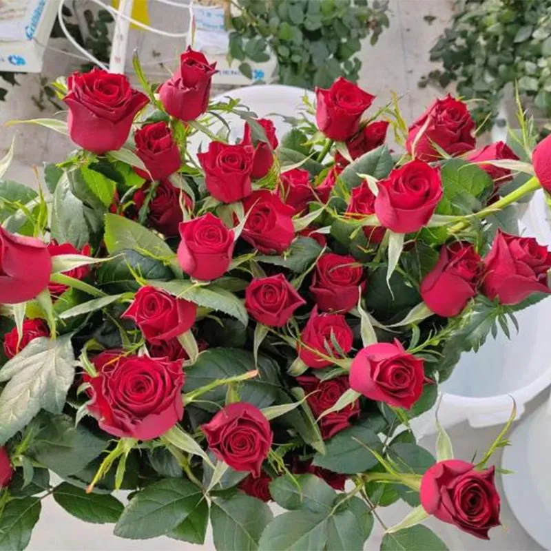 Выращивание цветов на срезку