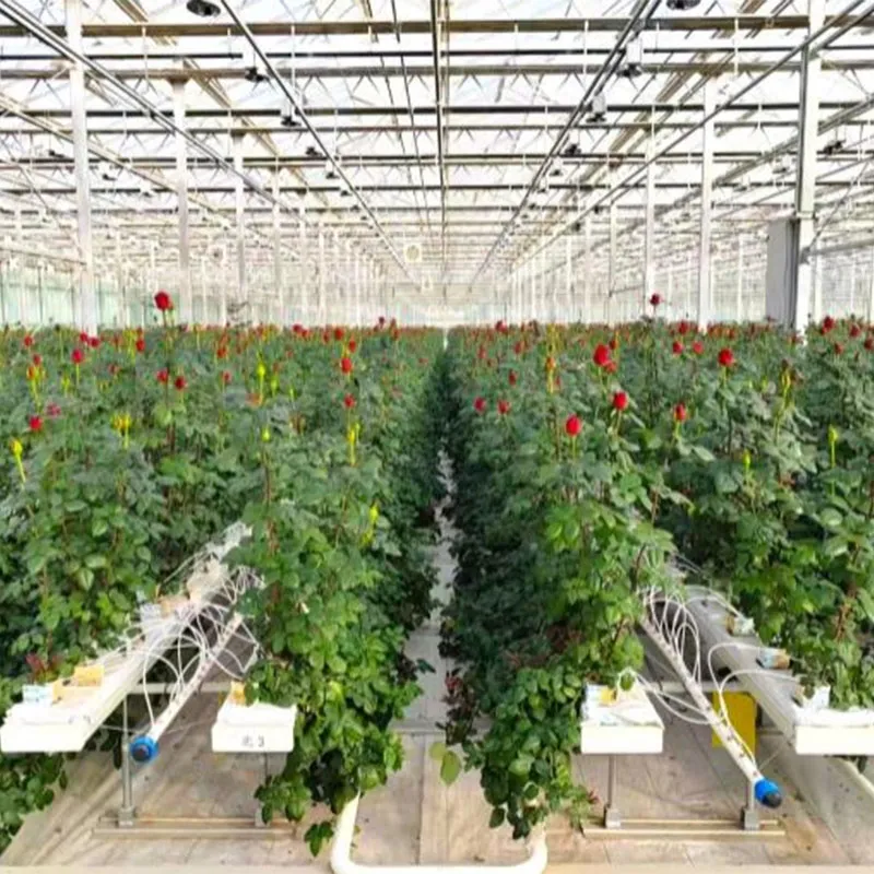 Выращивание цветов на срезку