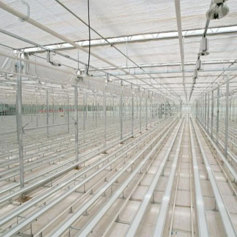 Выращивание цветов на срезку