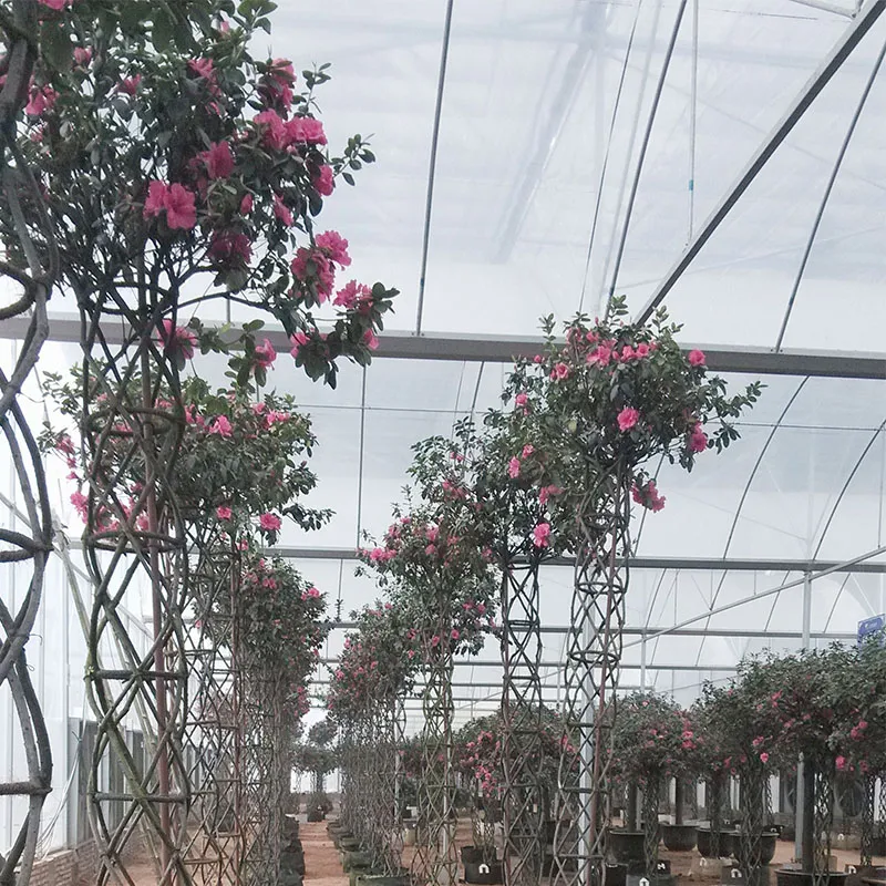 Пленочная теплица