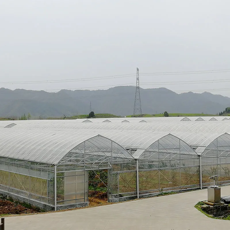 Пленочная теплица