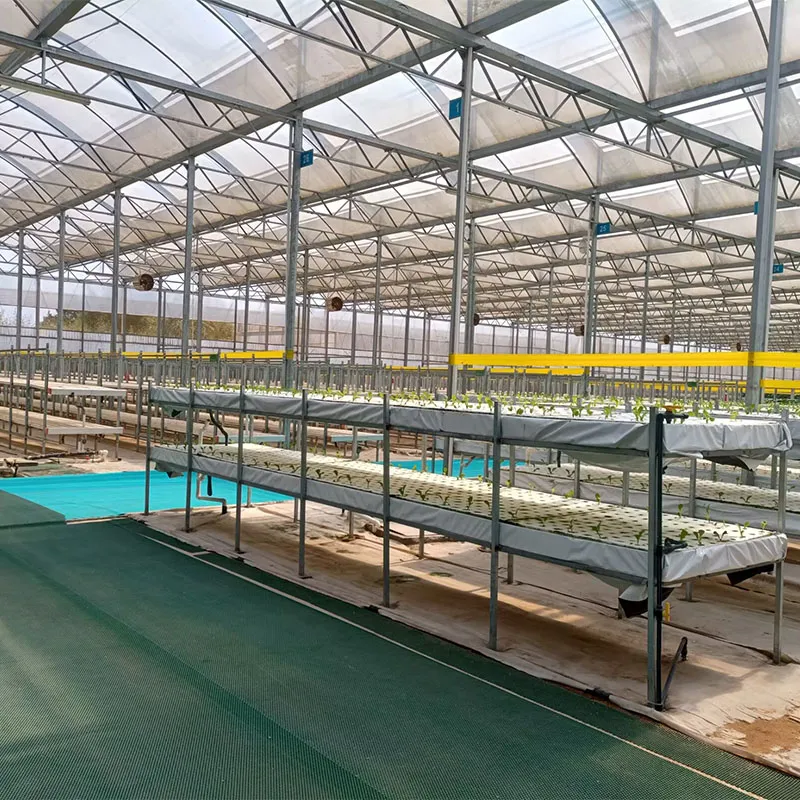 Пленочная теплица